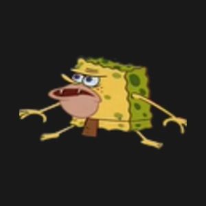 Meet your Posher, Fletcher